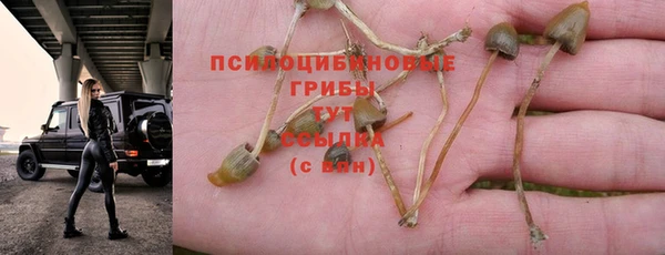 ECSTASY Инсар