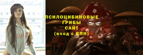 a pvp Инта