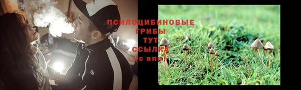 не бодяженный Иннополис