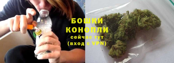 ECSTASY Инсар