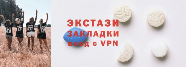 ECSTASY Инсар