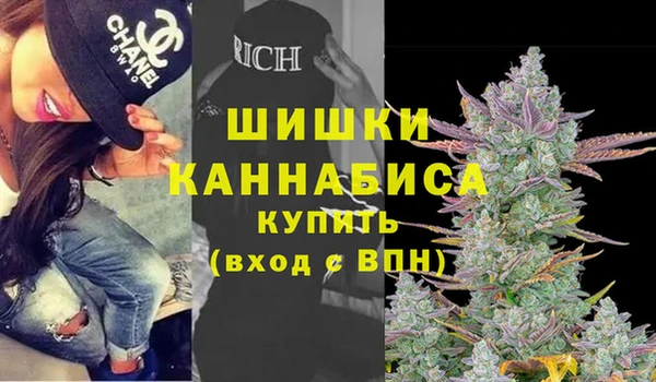 ECSTASY Инсар