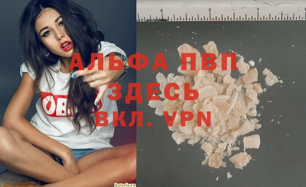 не бодяженный Иннополис