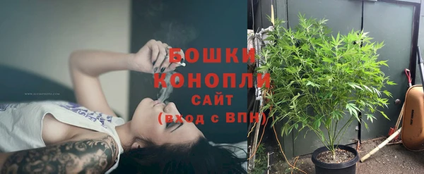 не бодяженный Иннополис